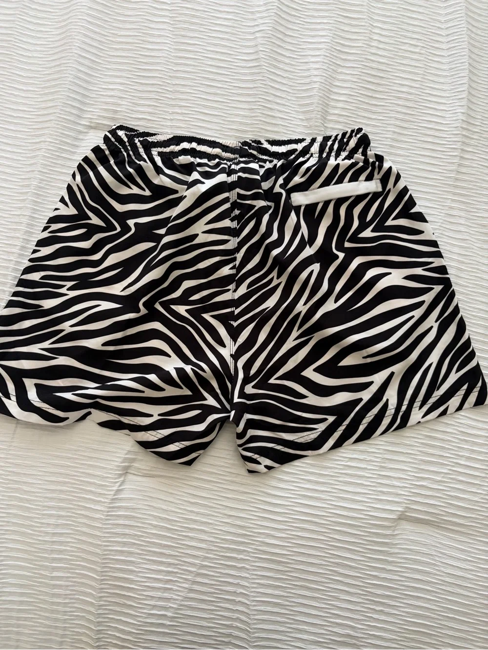 Cove bold zebra